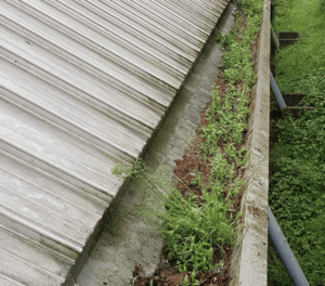 Happy customers in Marston Moretaine who trust The Roof Moss Cleaners for gutter cleaning services